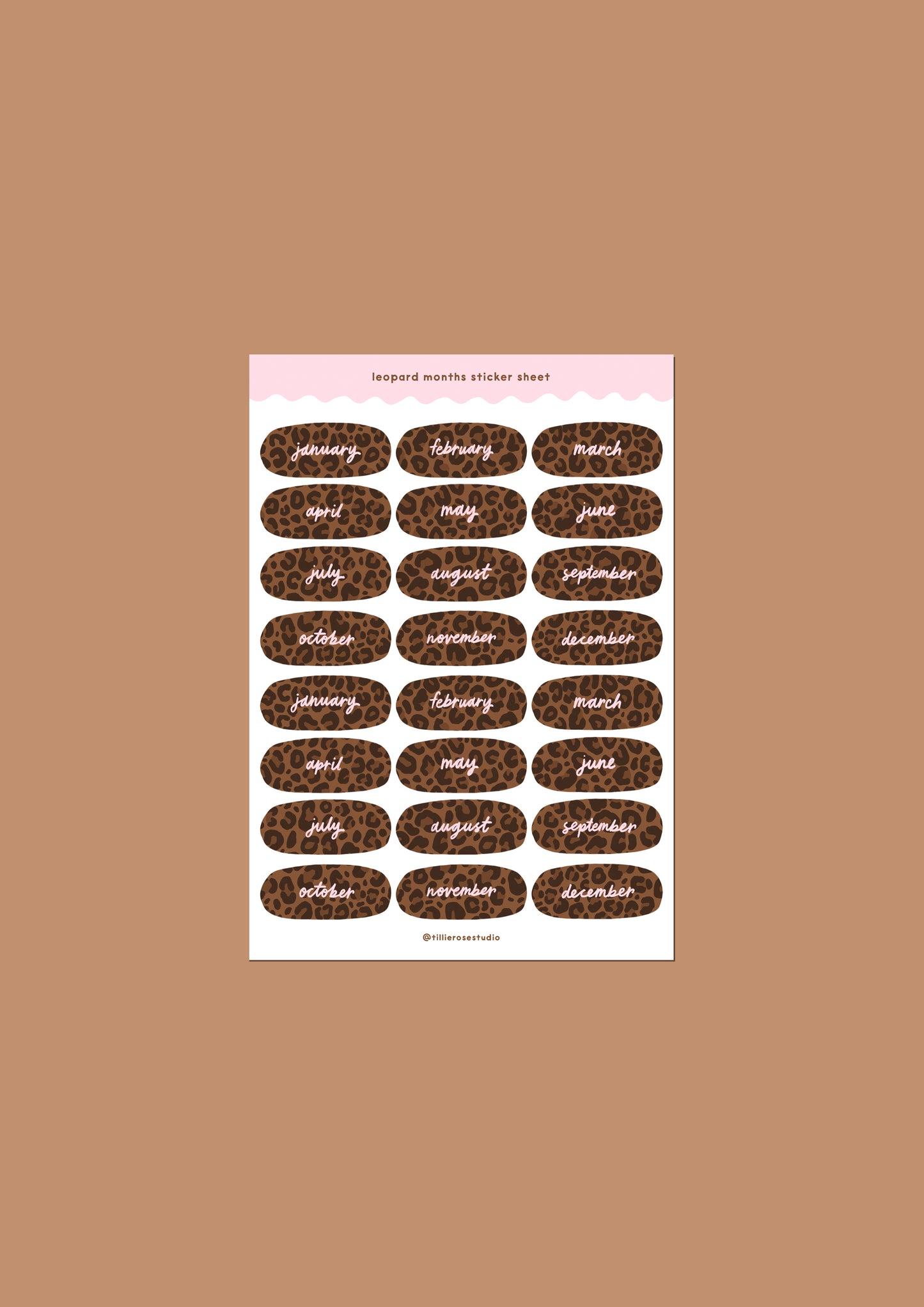 Leopard Months Sticker Sheet
