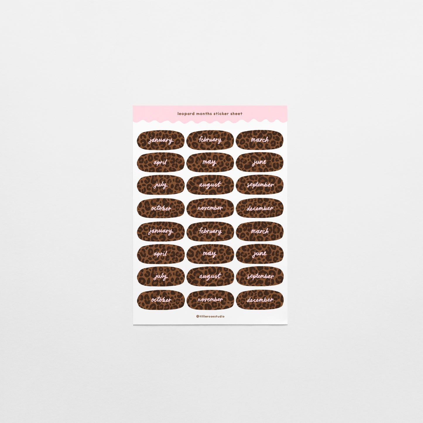 Leopard Months Sticker Sheet
