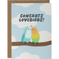 Congrats Lovebirds!