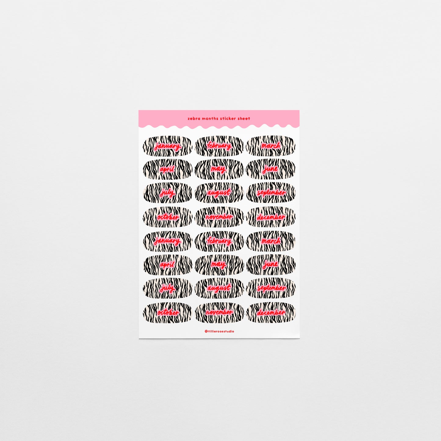Zebra Months Sticker Sheet